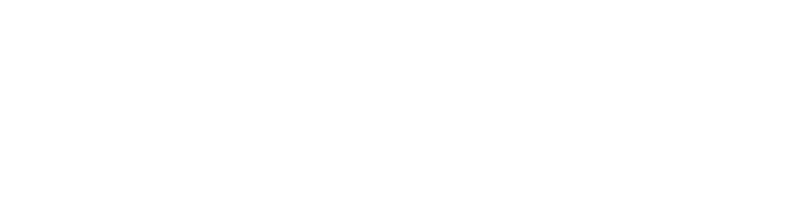 Finnish Friendly Visiting Service Logo